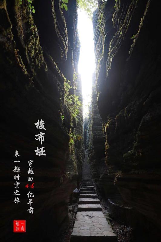 逃离神秘树屋